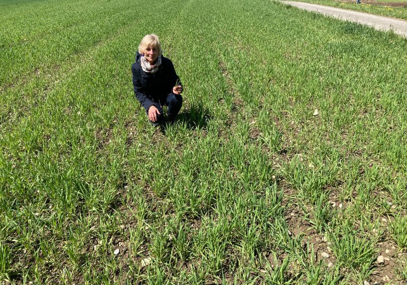 Birgit Acker auf dem Acker